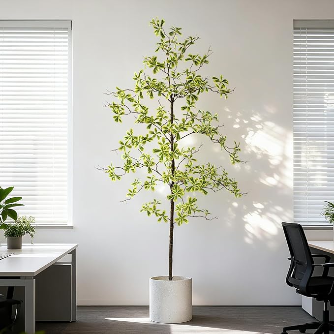 Bailikang 6FT Artificial Black Olive Tree Artificial Olive Plants, Tall Faux Olive Tree Faux Silk Plant Fake Plant Ultra-Realistic Silk Leaves & Natural Trunk Indoor Outdoor Use